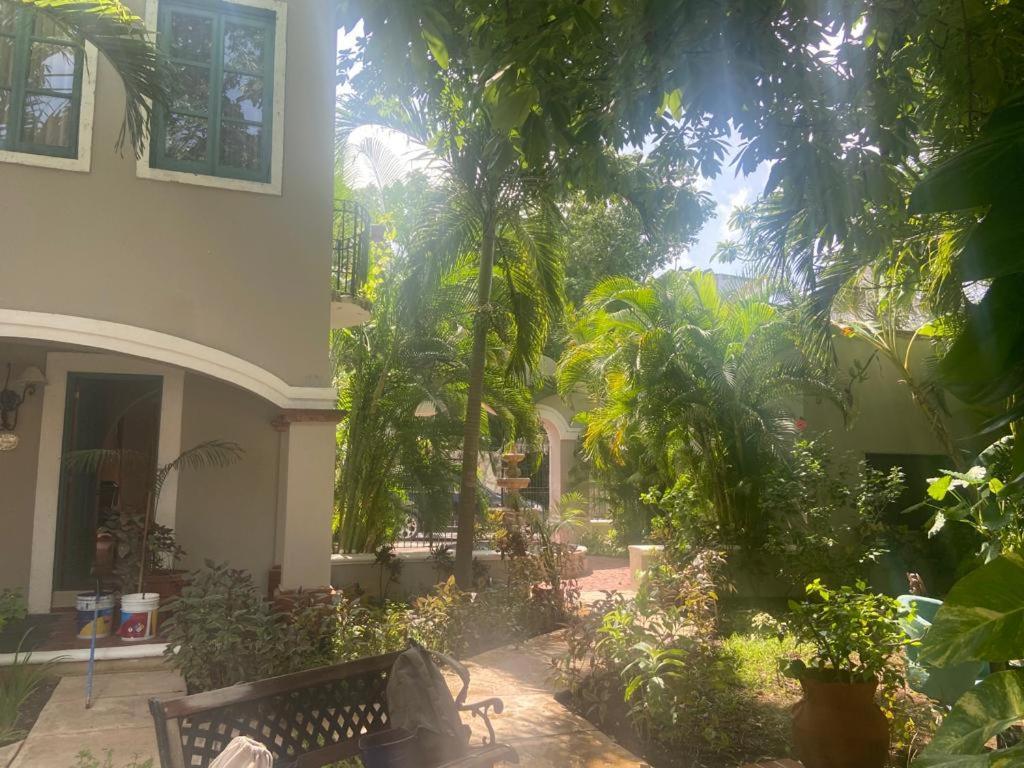 ホテル Hacienda San Miguel コスメル エクステリア 写真
