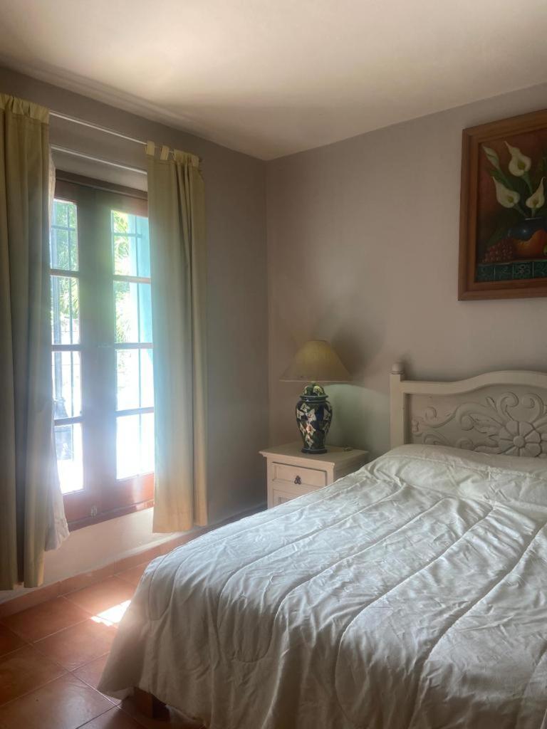 ホテル Hacienda San Miguel コスメル エクステリア 写真